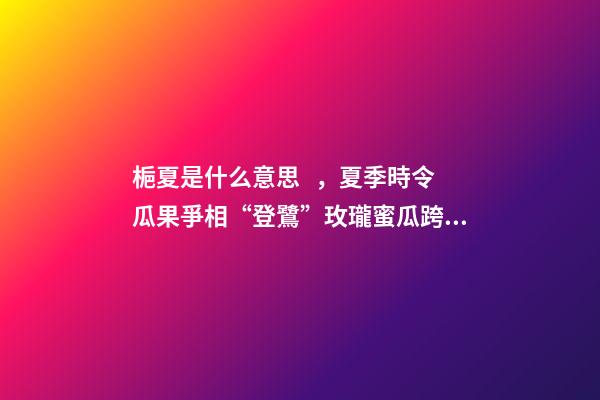 梔夏是什么意思，夏季時令瓜果爭相“登鷺”玫瓏蜜瓜跨界茶飲圈-第1張-觀點-玄機派
